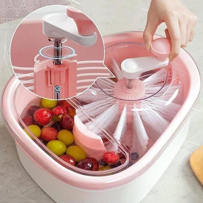 Portable Fruit Cleaning Machine